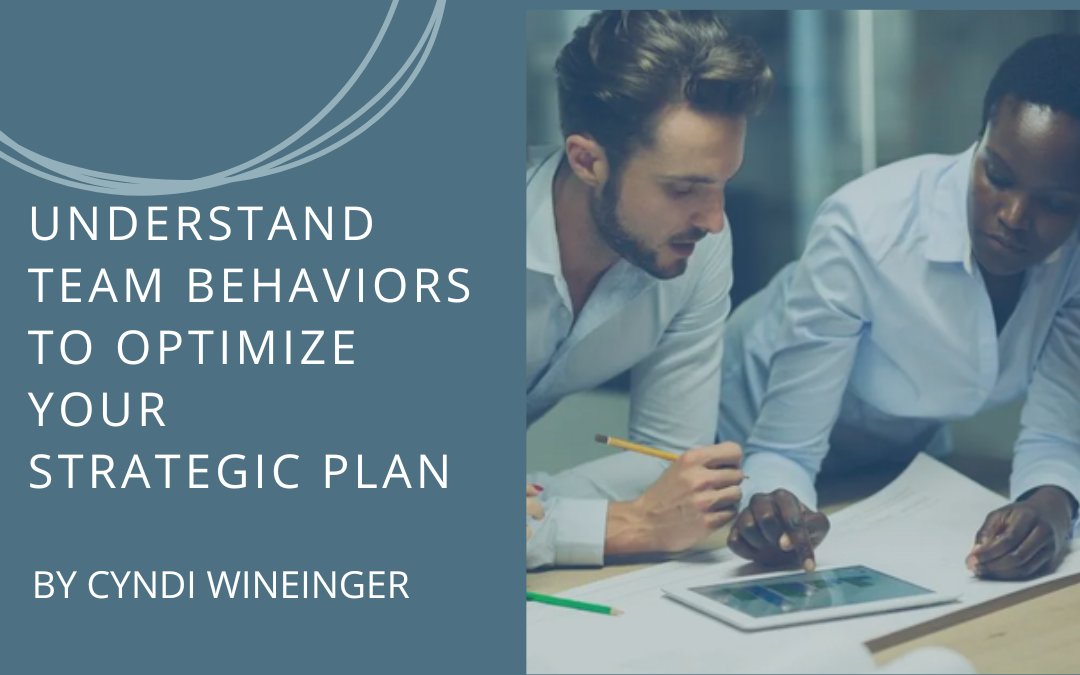 Understand Team Behaviors to optimize your Strategic Plan